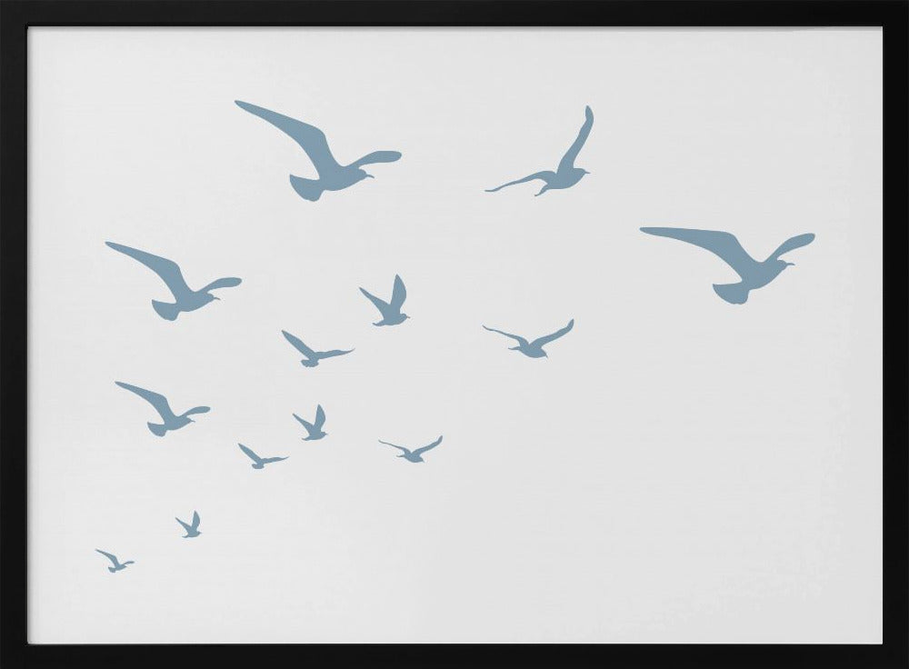 Meeuwen Witte Achtergrond | Poster