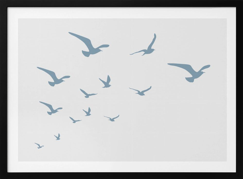 Meeuwen Witte Achtergrond | Poster