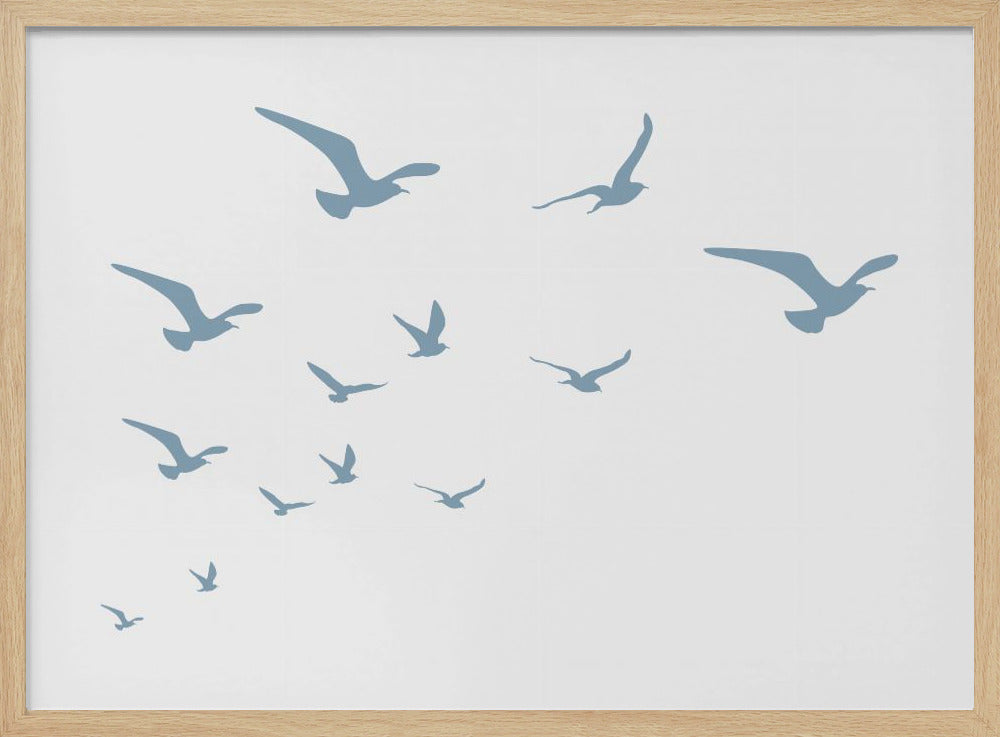 Meeuwen Witte Achtergrond | Poster