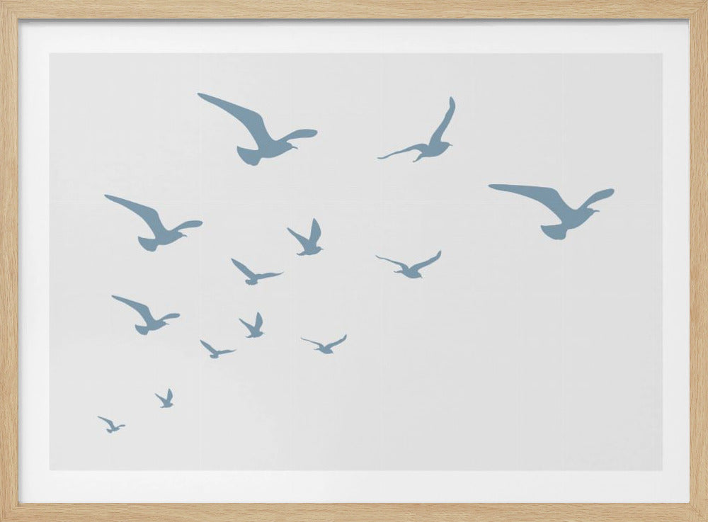 Meeuwen Witte Achtergrond | Poster