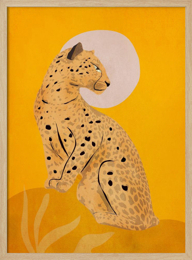 Gouden sierlijke cheetah | Poster