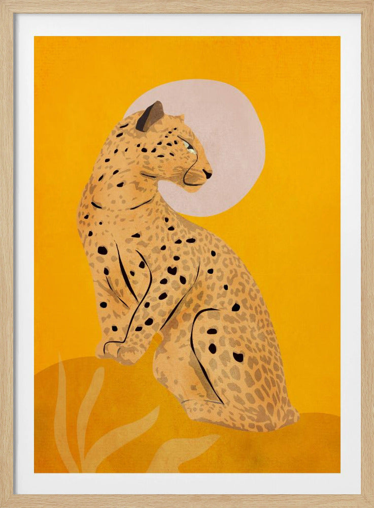 Gouden sierlijke cheetah | Poster