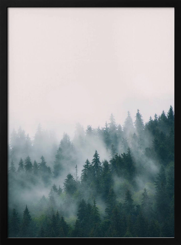 Bos | Poster