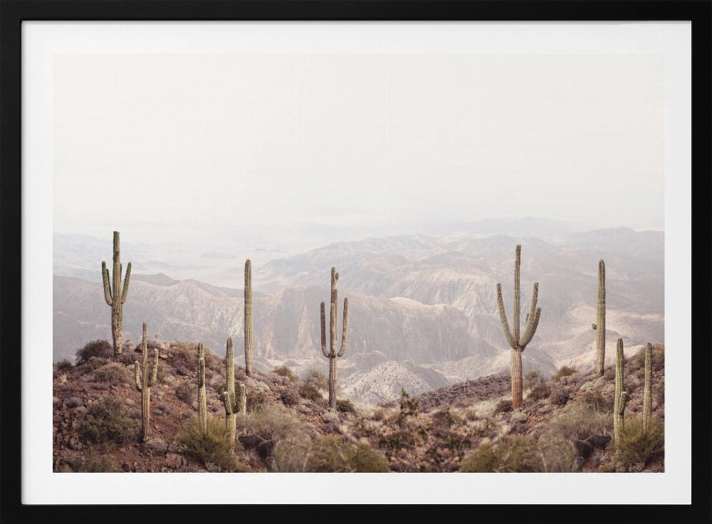 Arizona Vallei | Poster