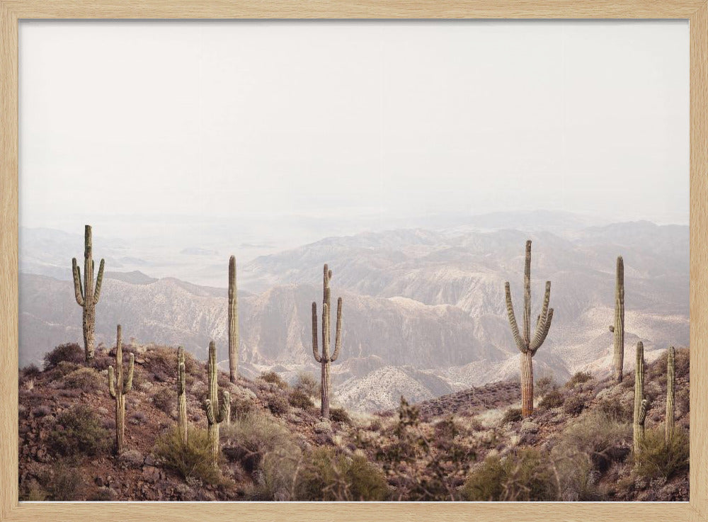 Arizona Vallei | Poster
