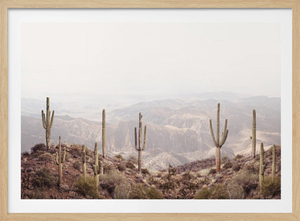 Arizona Vallei | Poster