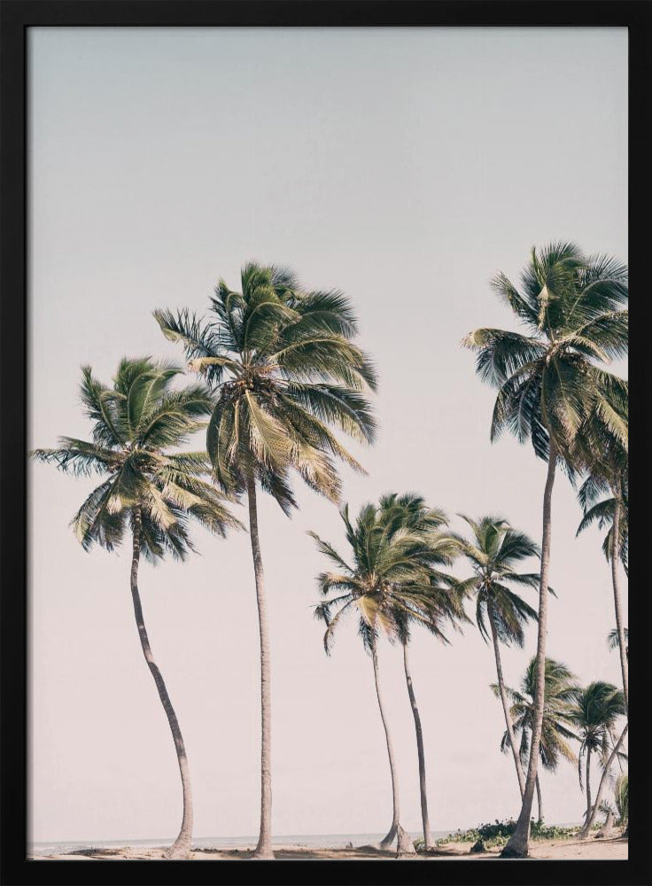 Blush Tropical Trees | Poster
