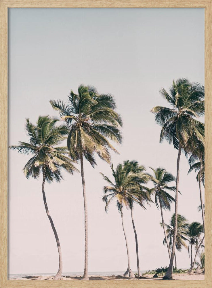 Blush Tropical Trees | Poster