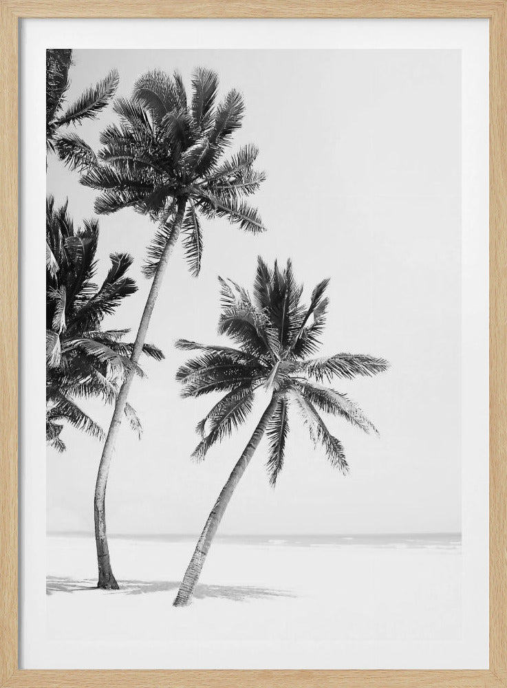 Island | Poster