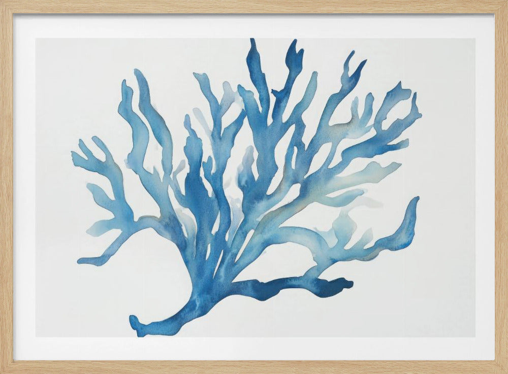 Blauw Koraal | Poster