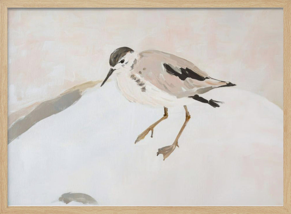 Schattige strandvogel | Poster