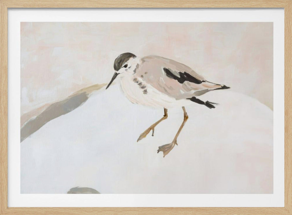 Schattige strandvogel | Poster