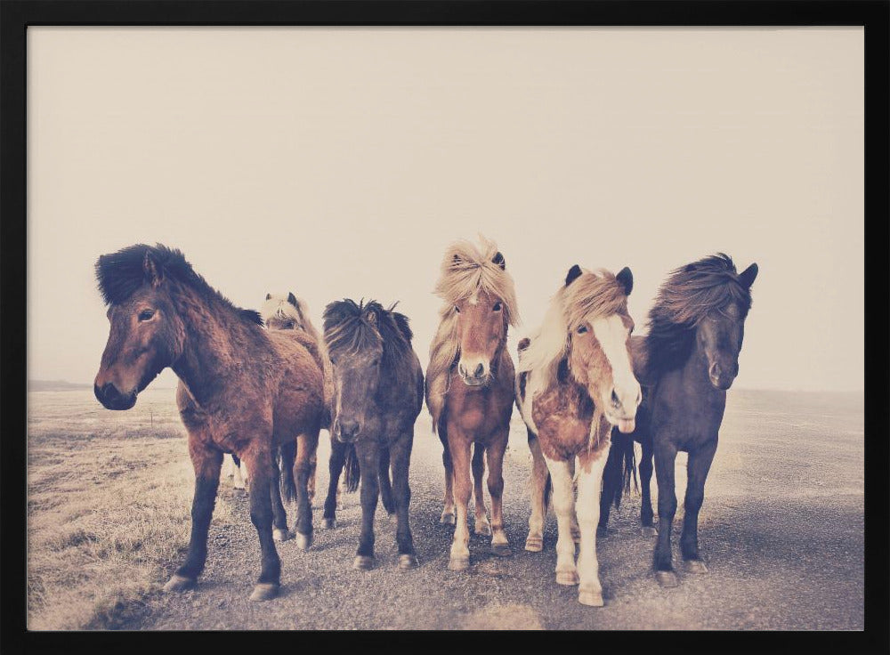 Paarden | Poster