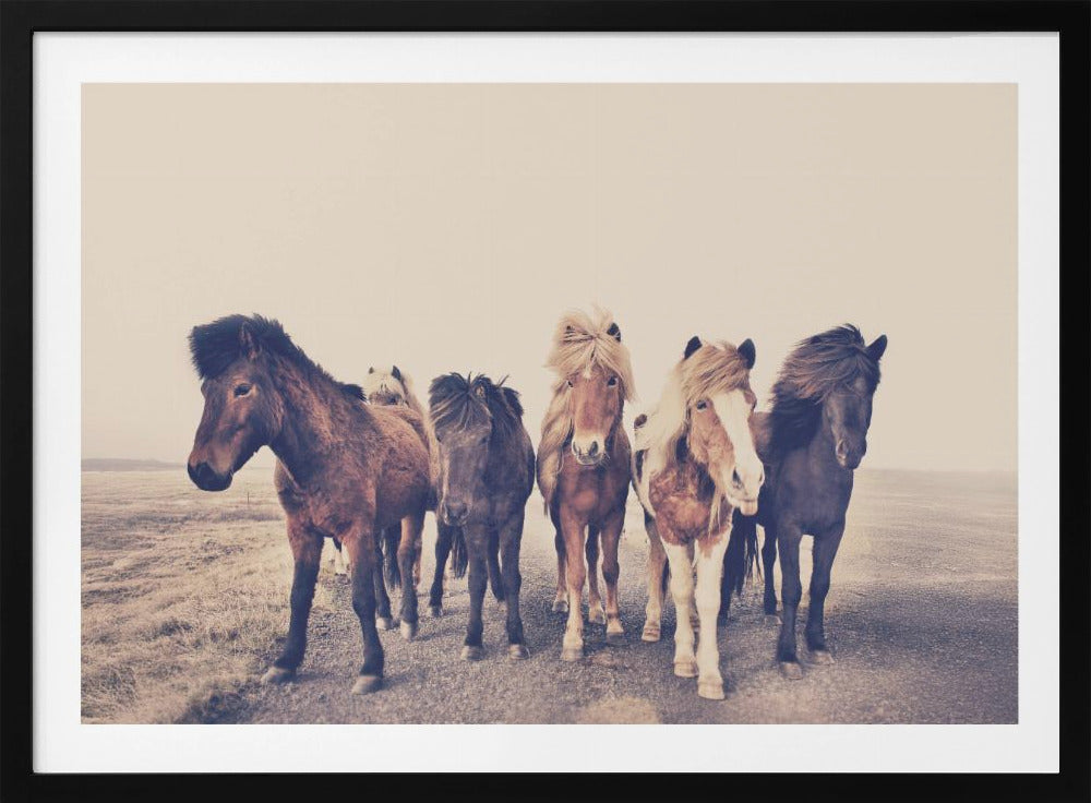 Paarden | Poster