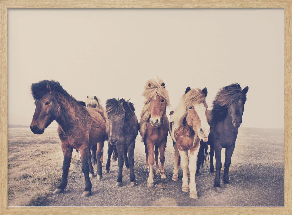 Paarden | Poster