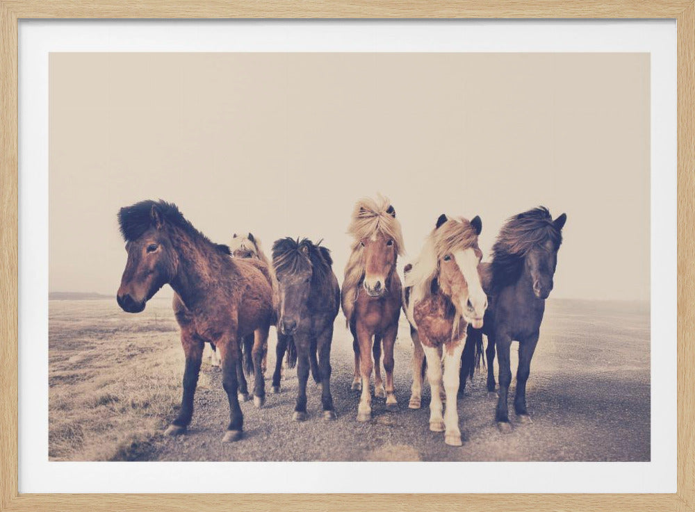 Paarden | Poster