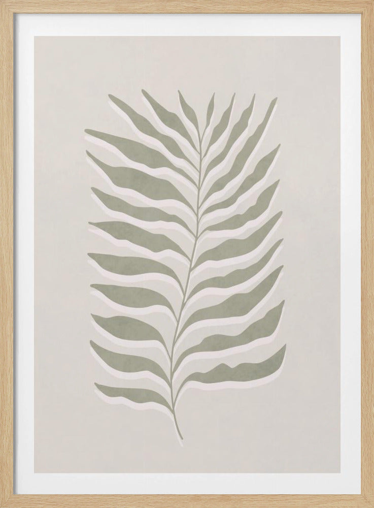 Olijfgroen blad | Poster