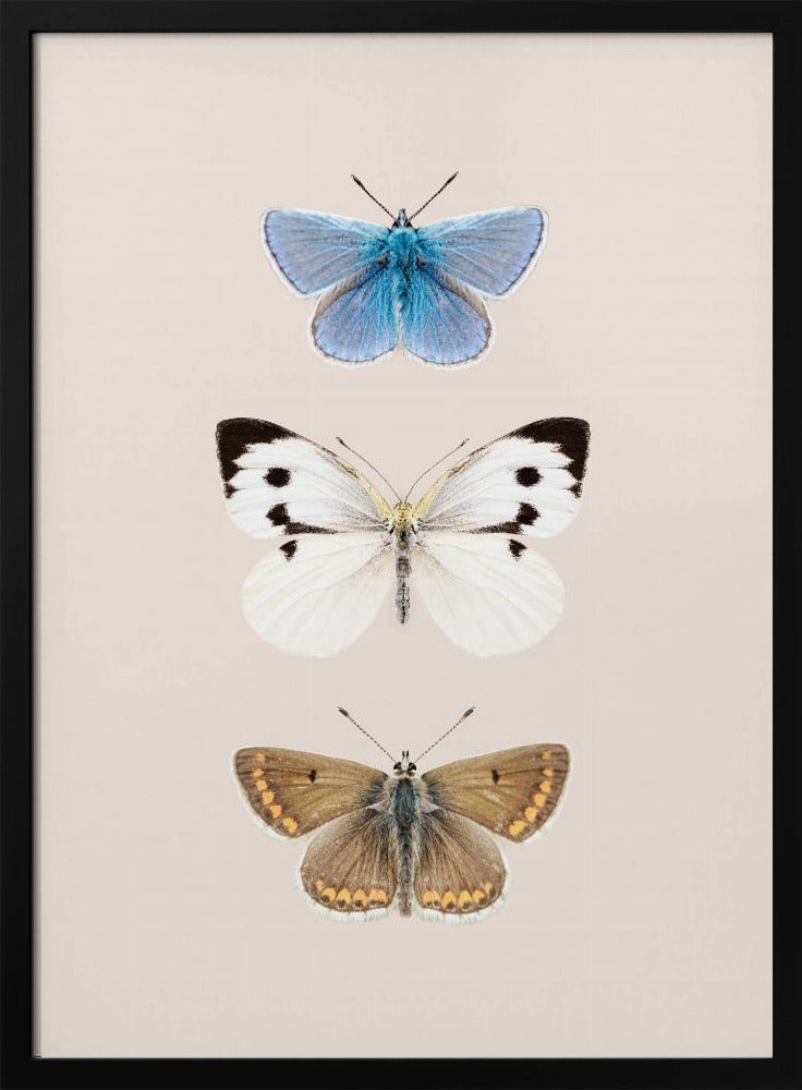 Engelse vlinders 2 | Poster