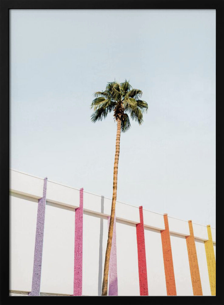 Palm Spring Kleuren 2 | Poster