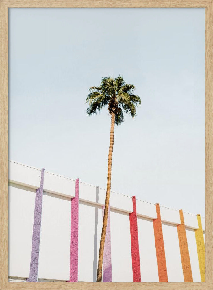 Palm Spring Kleuren 2 | Poster