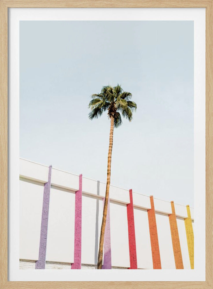 Palm Spring Kleuren 2 | Poster