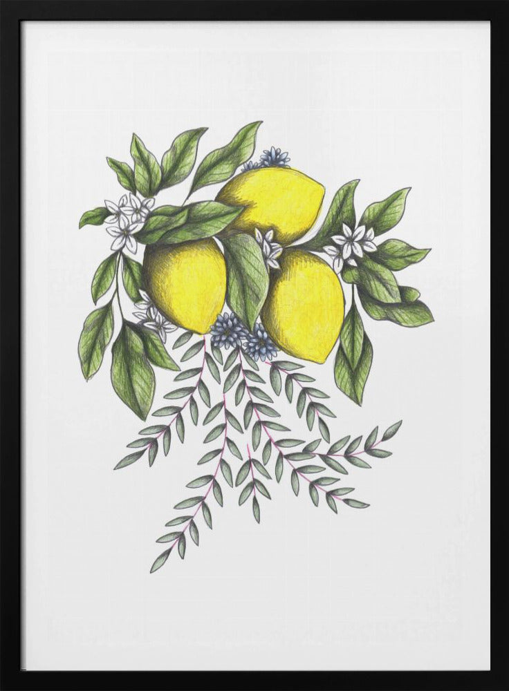 Citroenen en groene bladeren met delicate witte bloesems | Poster