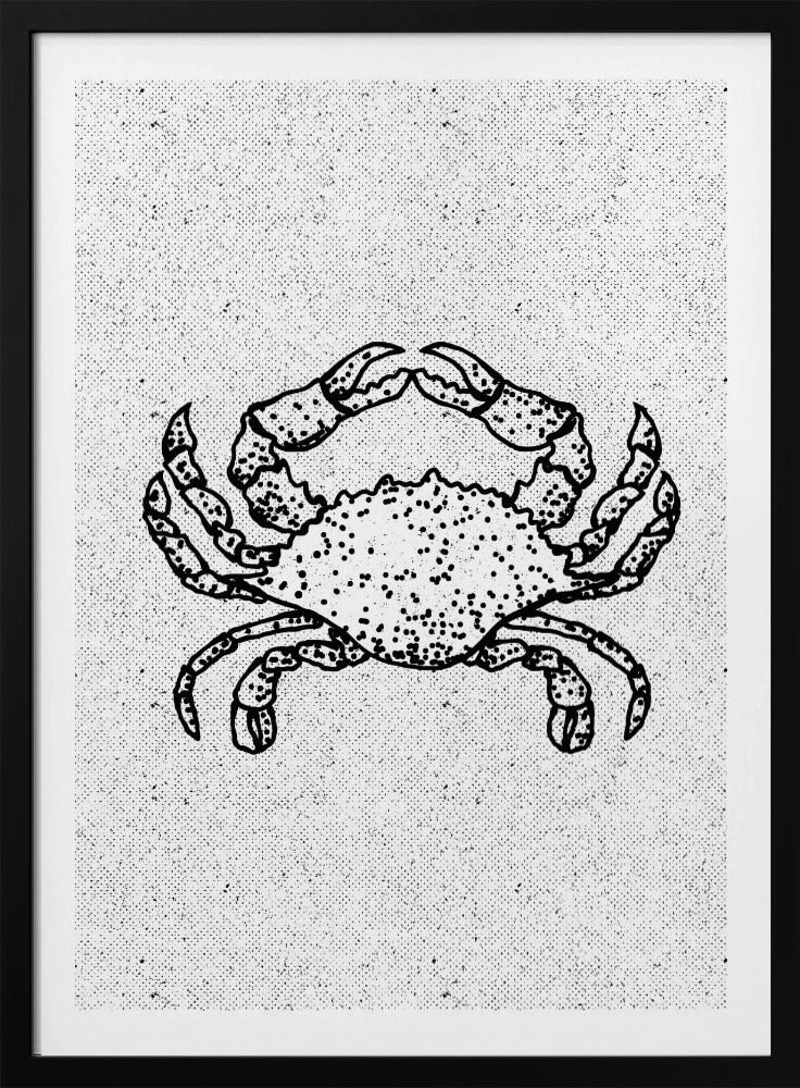 Zwart-witte krab | Poster