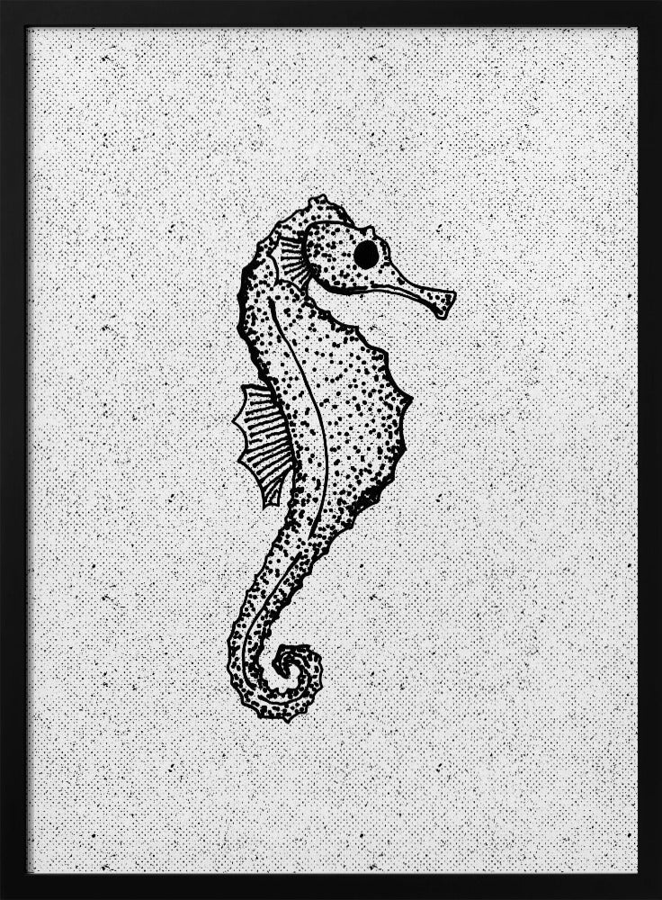 Grillig zeepaardje | Poster