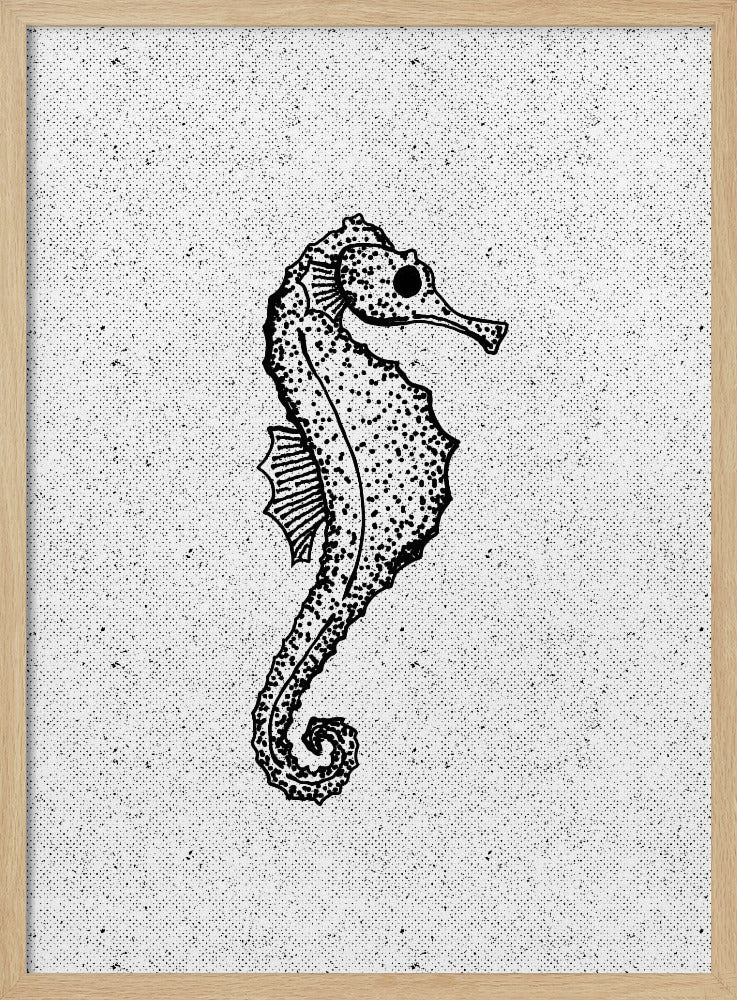 Grillig zeepaardje | Poster