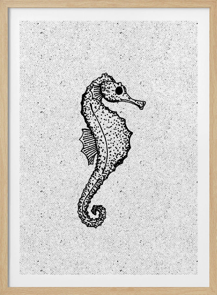 Grillig zeepaardje | Poster