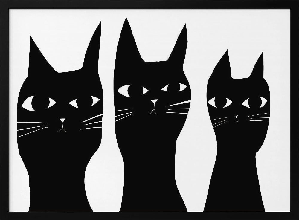 Drie zwarte katten kijken naar de kat | Poster