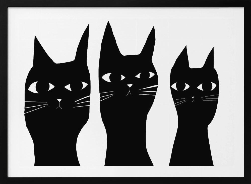 Drie zwarte katten kijken naar de kat | Poster