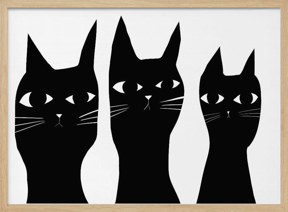 Drie zwarte katten kijken naar de kat | Poster