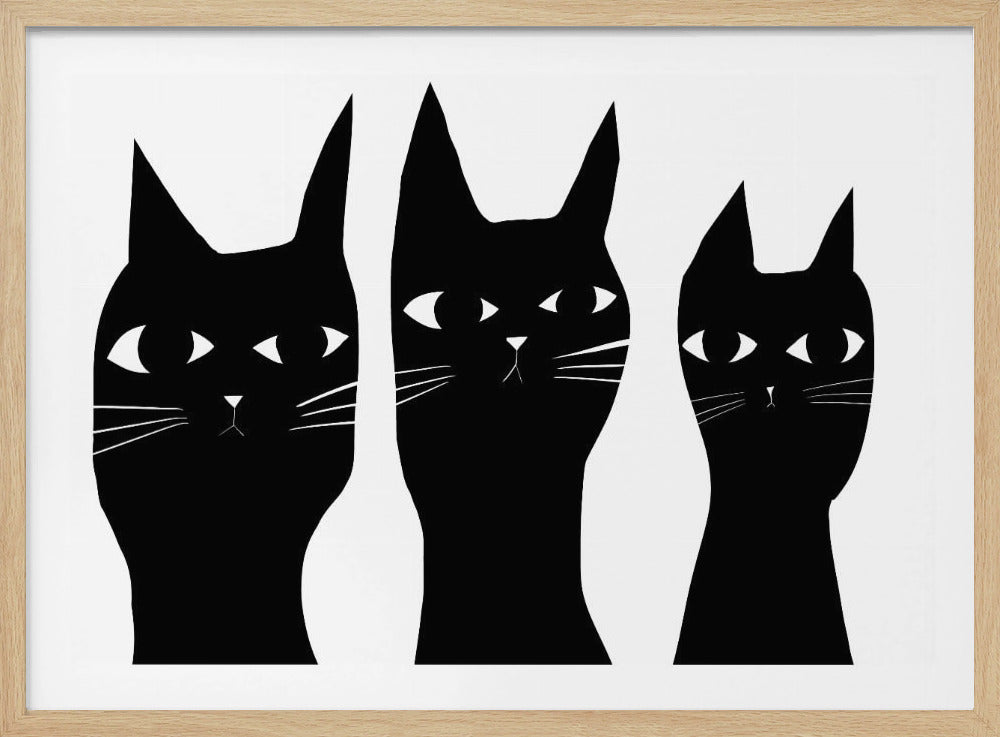 Drie zwarte katten kijken naar de kat | Poster