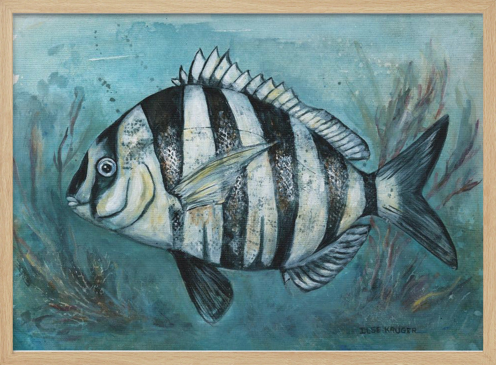 Gestreepte Zee Schoonheid | Poster