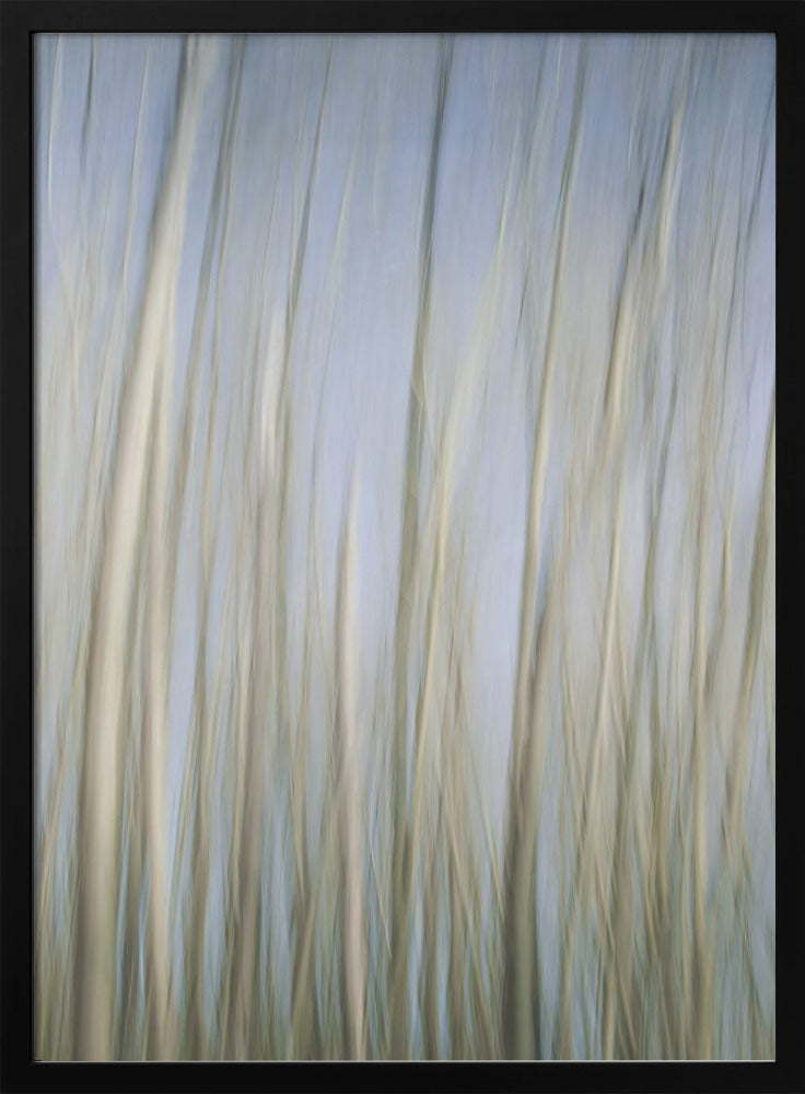 Fluisterende bomen | Poster
