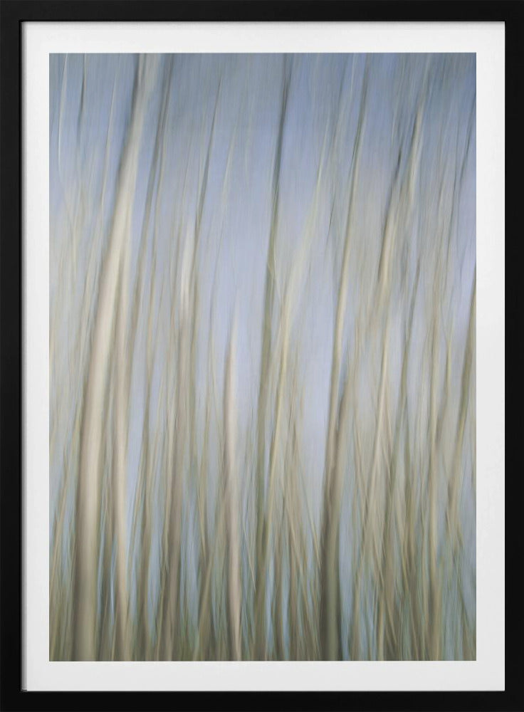 Fluisterende bomen | Poster