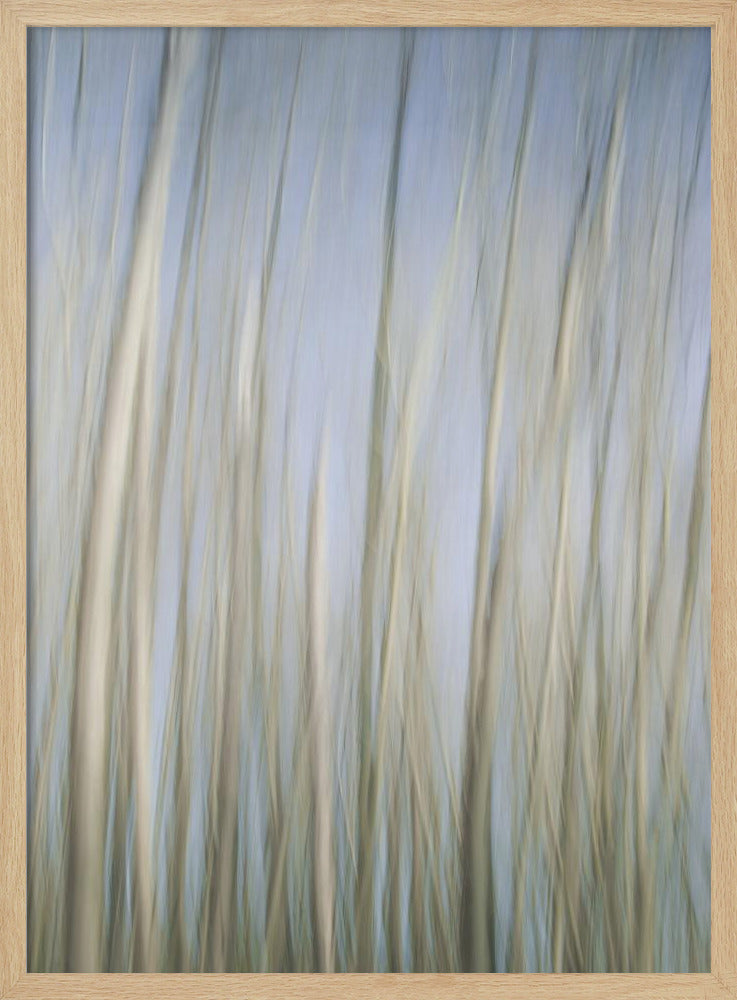 Fluisterende bomen | Poster