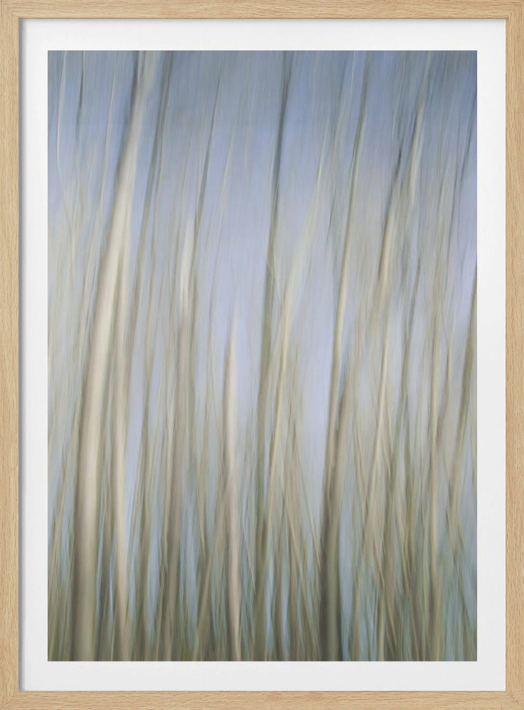 Fluisterende bomen | Poster