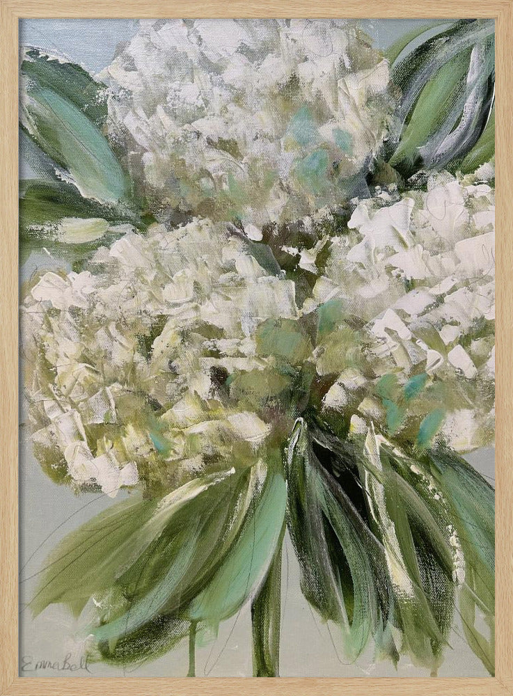 Witte hortensia's met weelderige groene bladeren | Poster