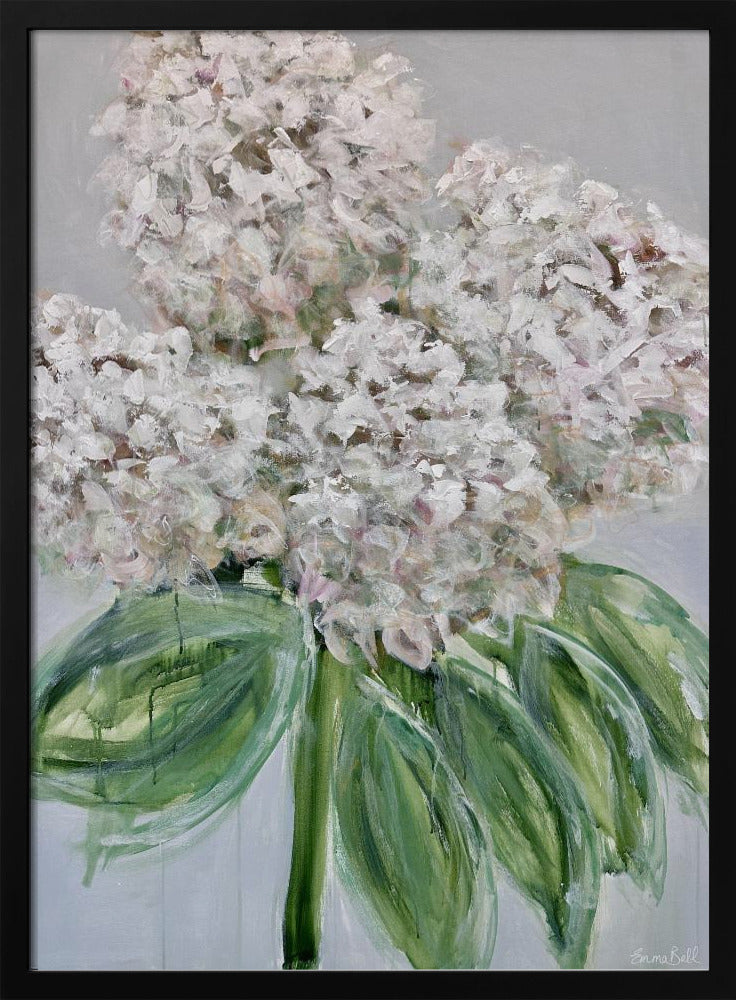 Witte hortensia bloei | Poster