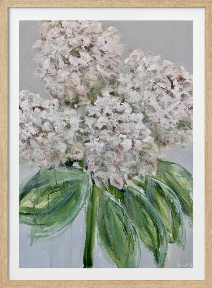 Witte hortensia bloei | Poster