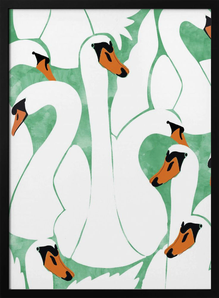 Sierlijke zwanen | Poster