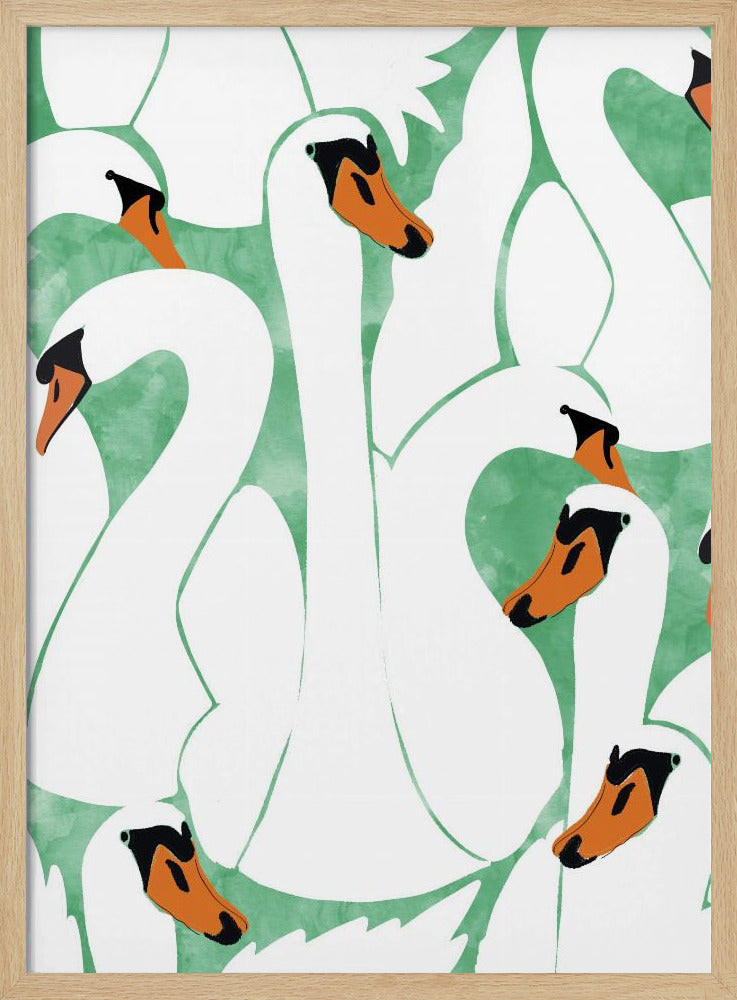 Sierlijke zwanen | Poster