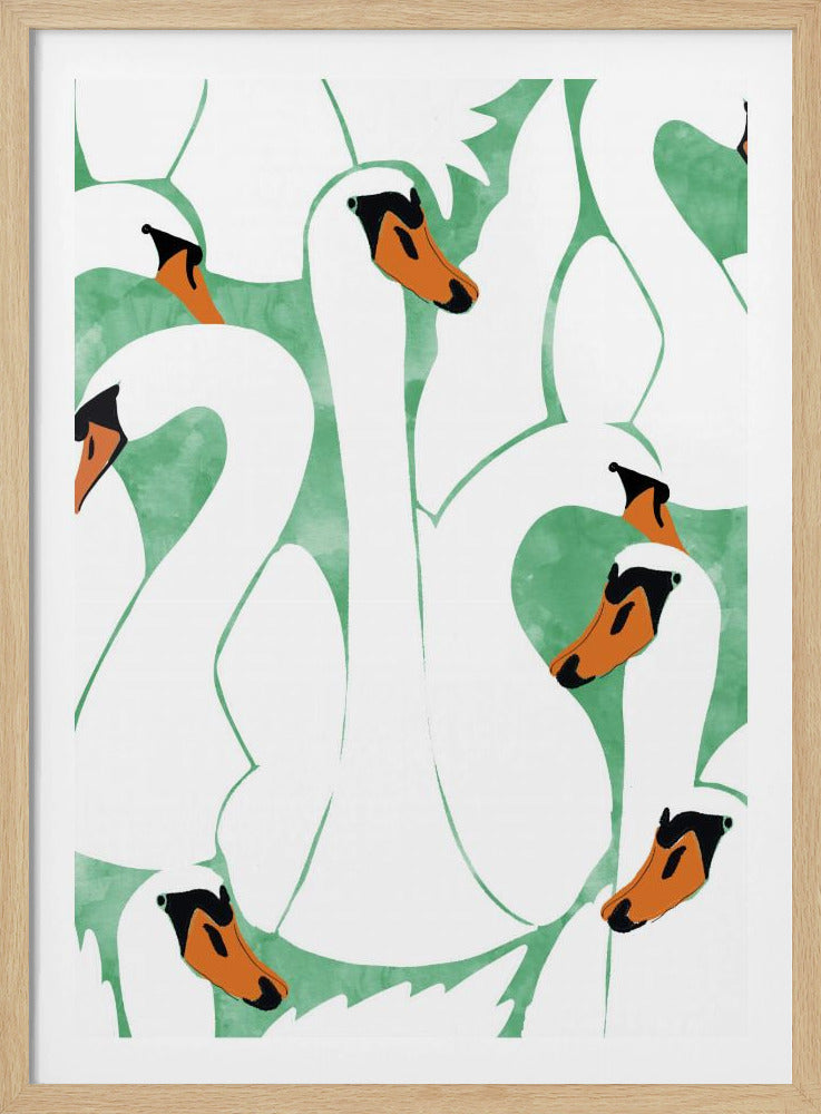 Sierlijke zwanen | Poster