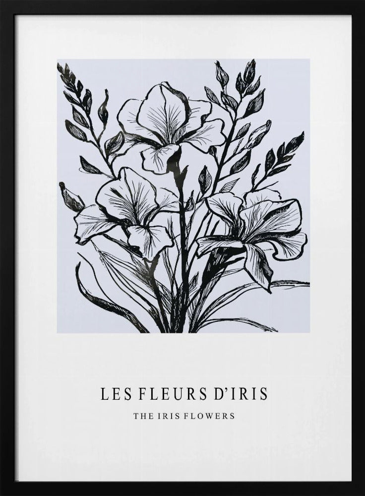 Irisbloemen in een monochrome illustratie | Poster