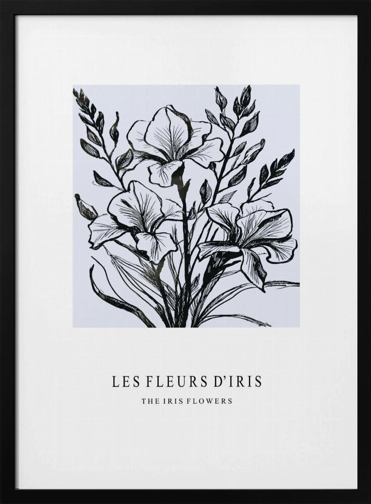 Irisbloemen in een monochrome illustratie | Poster