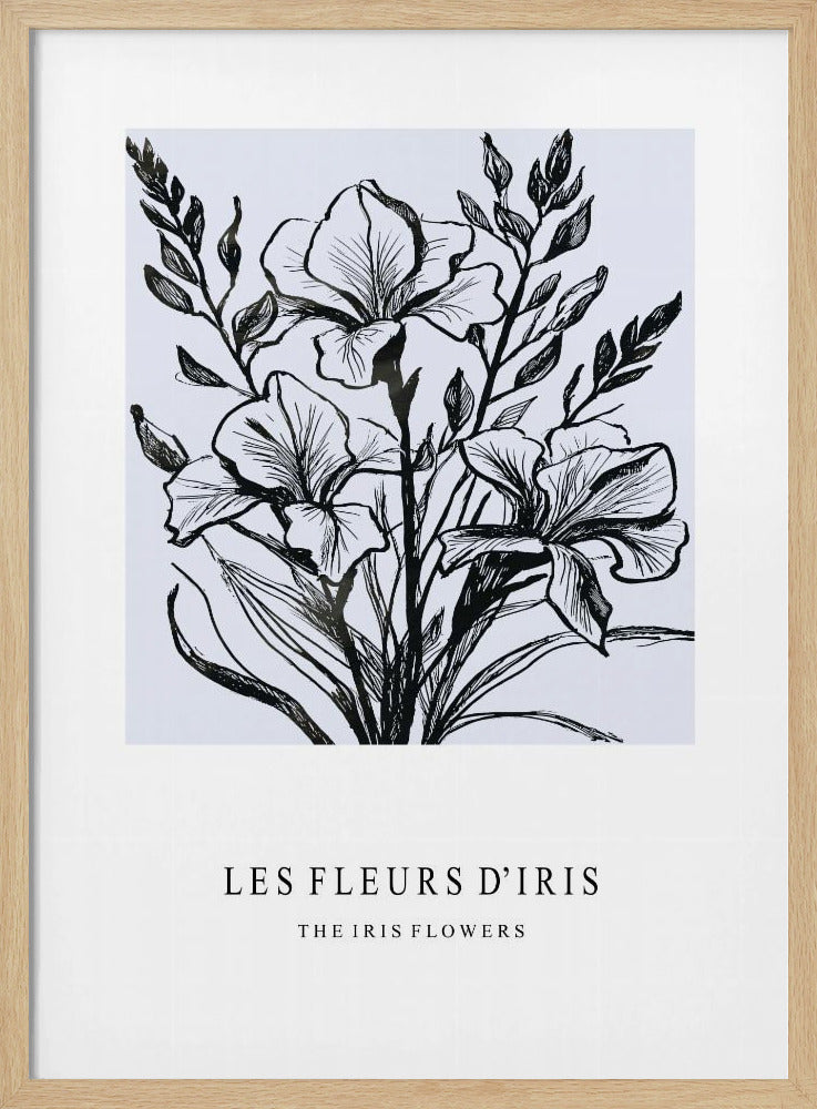 Irisbloemen in een monochrome illustratie | Poster