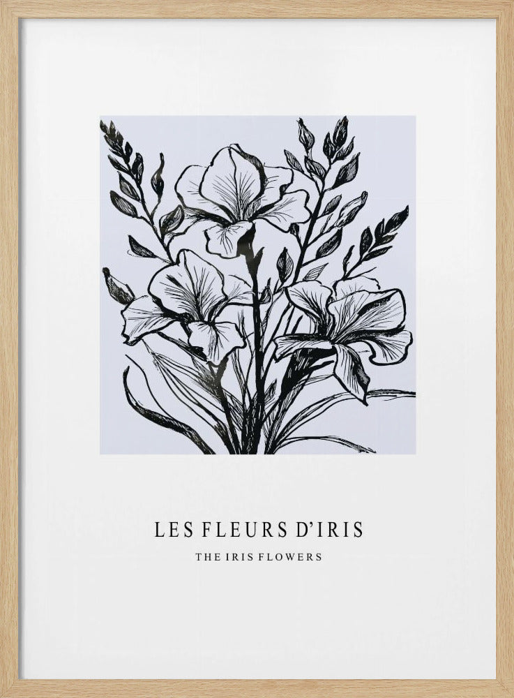 Irisbloemen in een monochrome illustratie | Poster