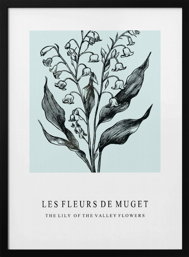 Lelietje-van-dalenbloemen in een monochrome illustratie | Poster